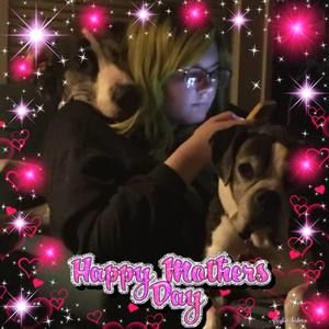 Meet your Posher, Sylvia